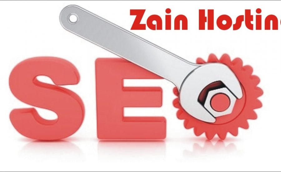 Cheap Seo Web Hosting in Pakistan